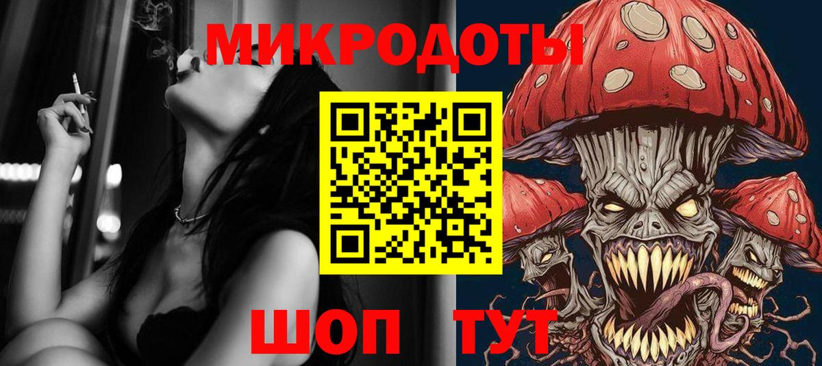 Псилоцибиновые грибы Psilocybe Можайск